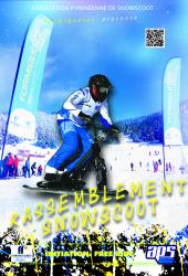 Snowscoot affiche cruzado 2015 n 2